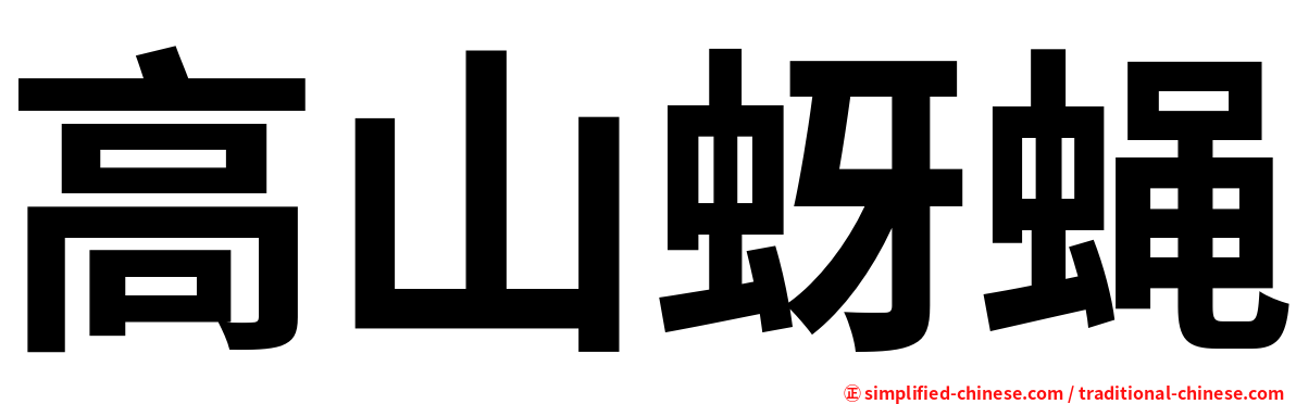 高山蚜蝇