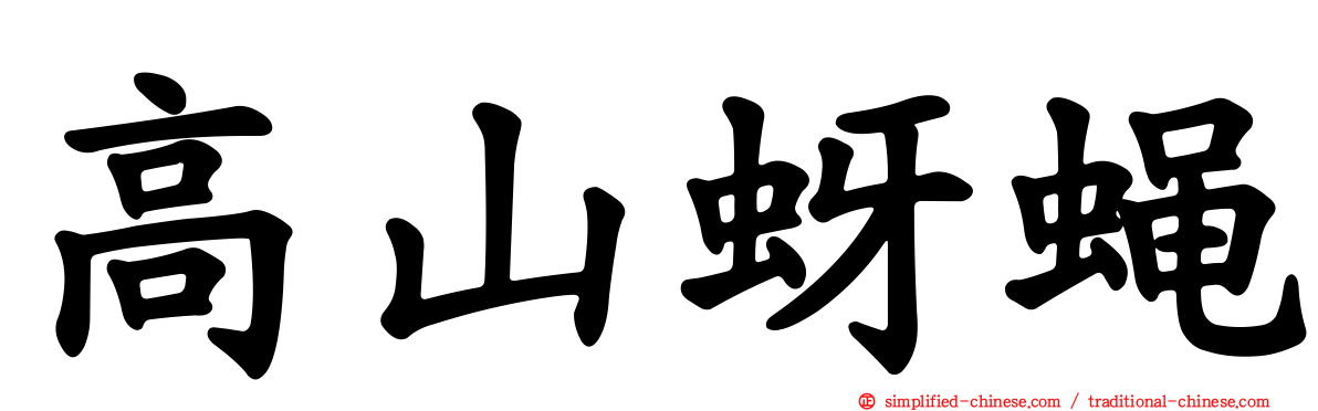 高山蚜蝇