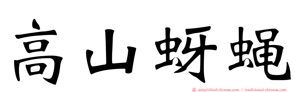 高山蚜蝇