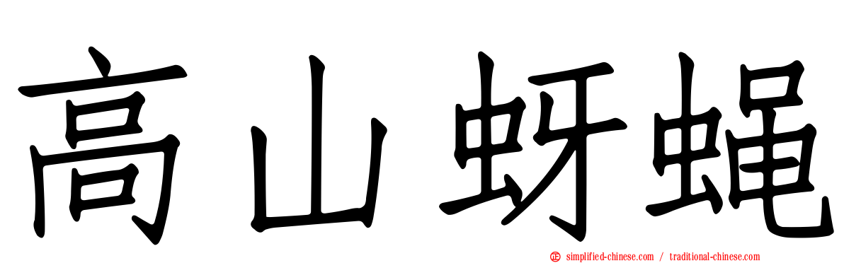 高山蚜蝇