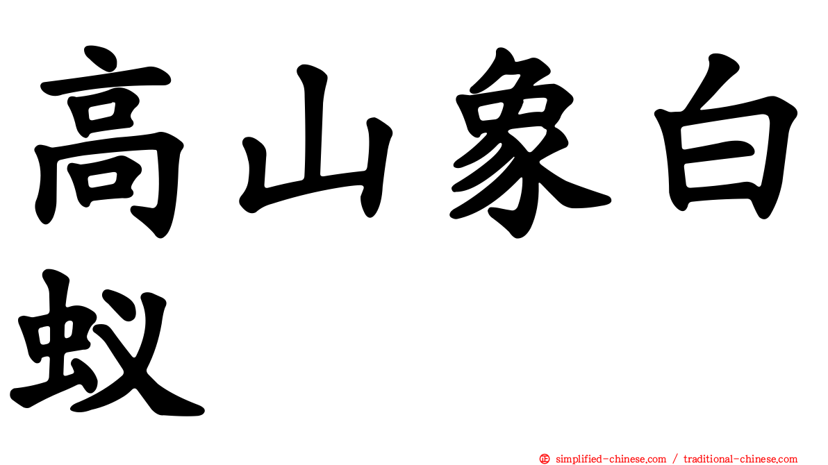 高山象白蚁