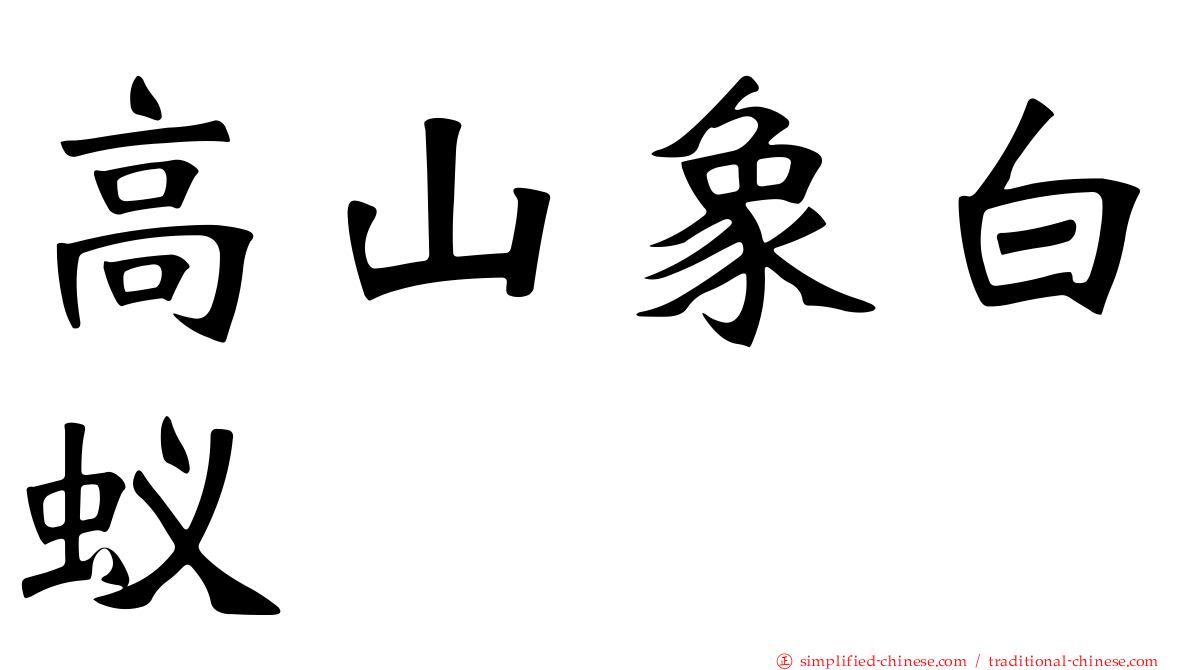 高山象白蚁