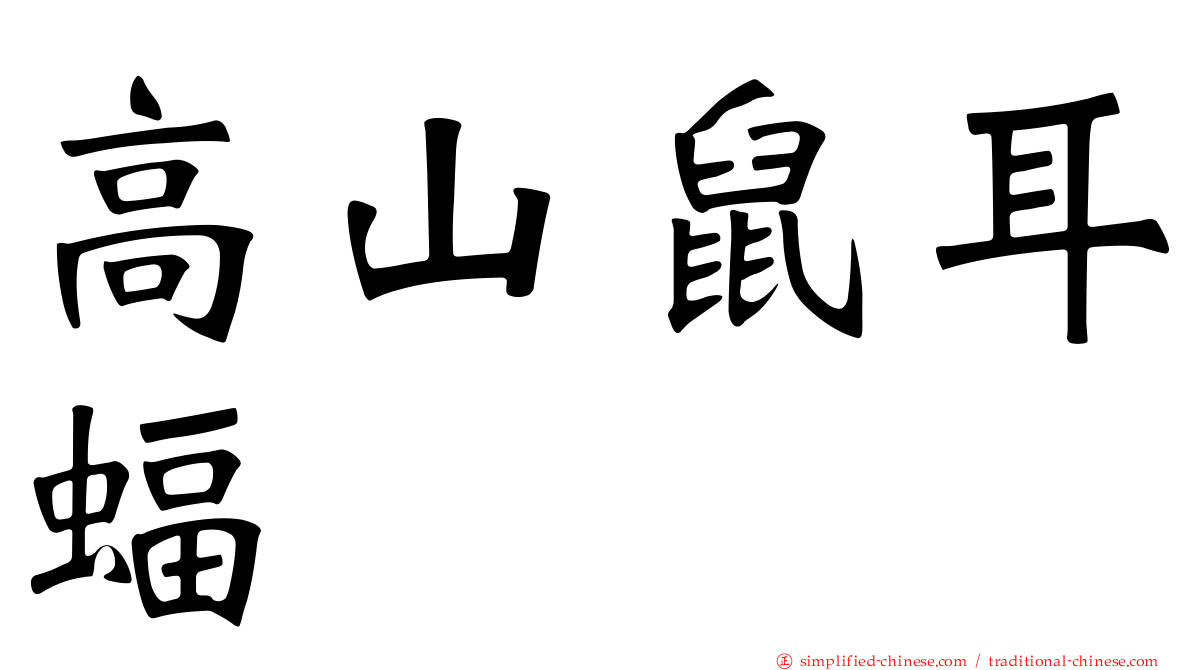 高山鼠耳蝠