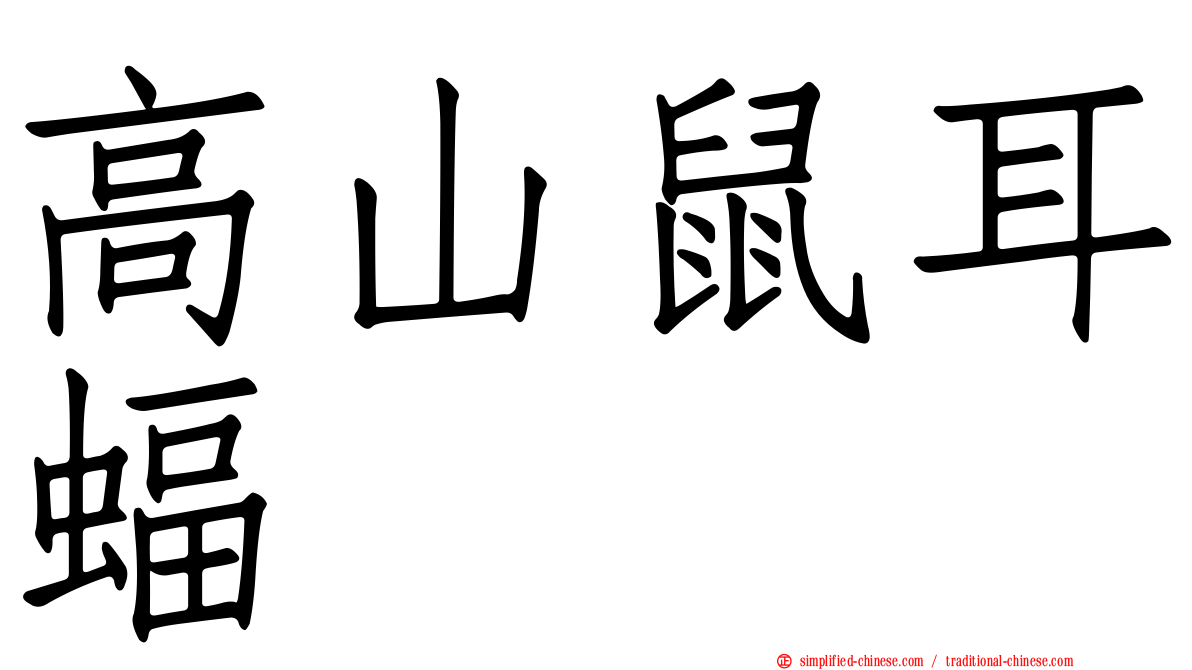 高山鼠耳蝠