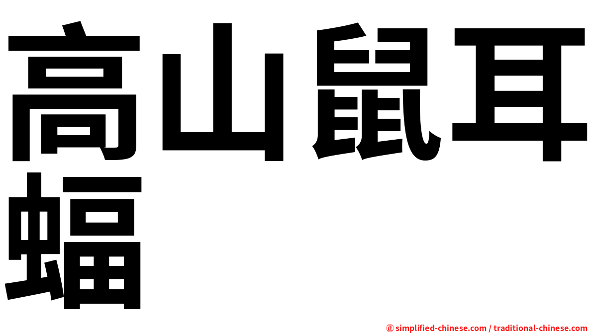 高山鼠耳蝠