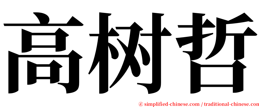 高树哲 serif font