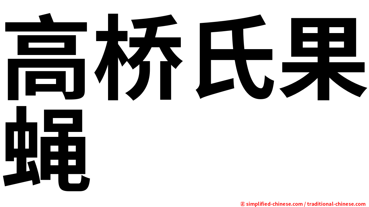 高桥氏果蝇