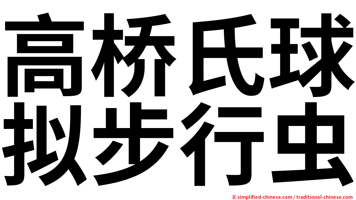 高桥氏球拟步行虫