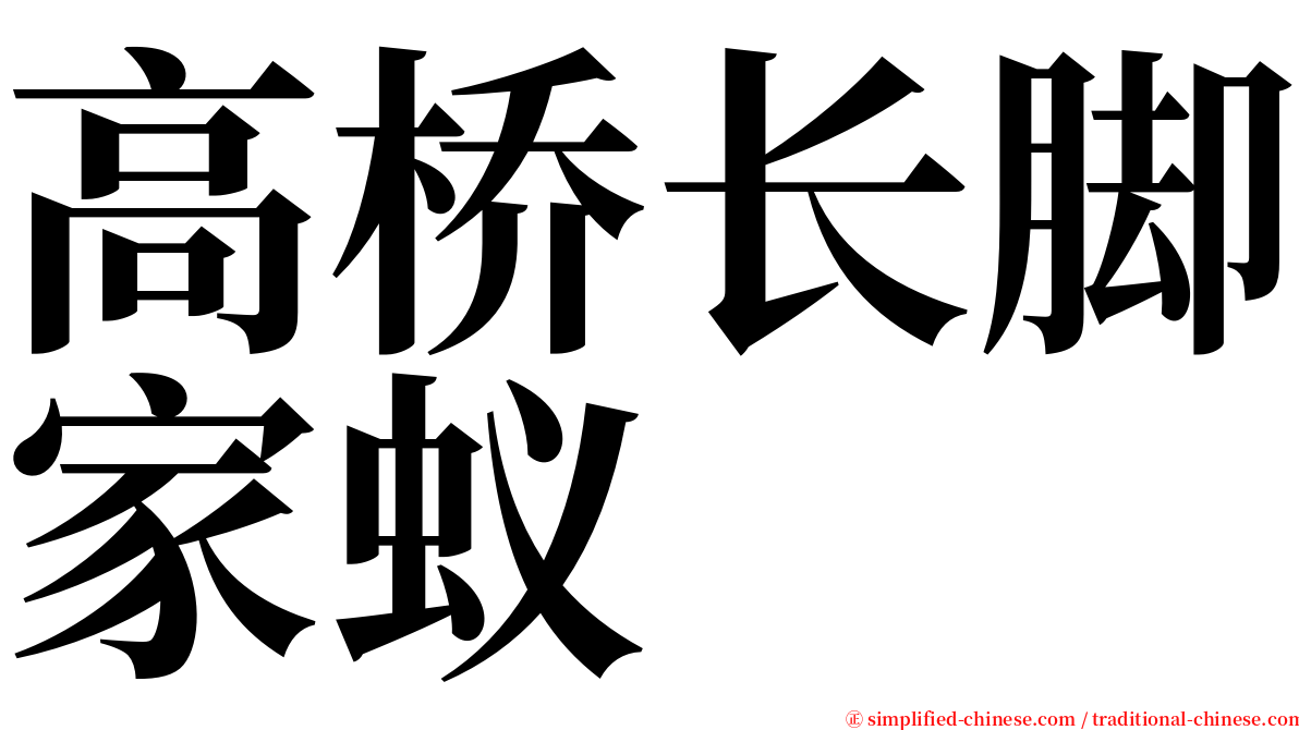 高桥长脚家蚁 serif font