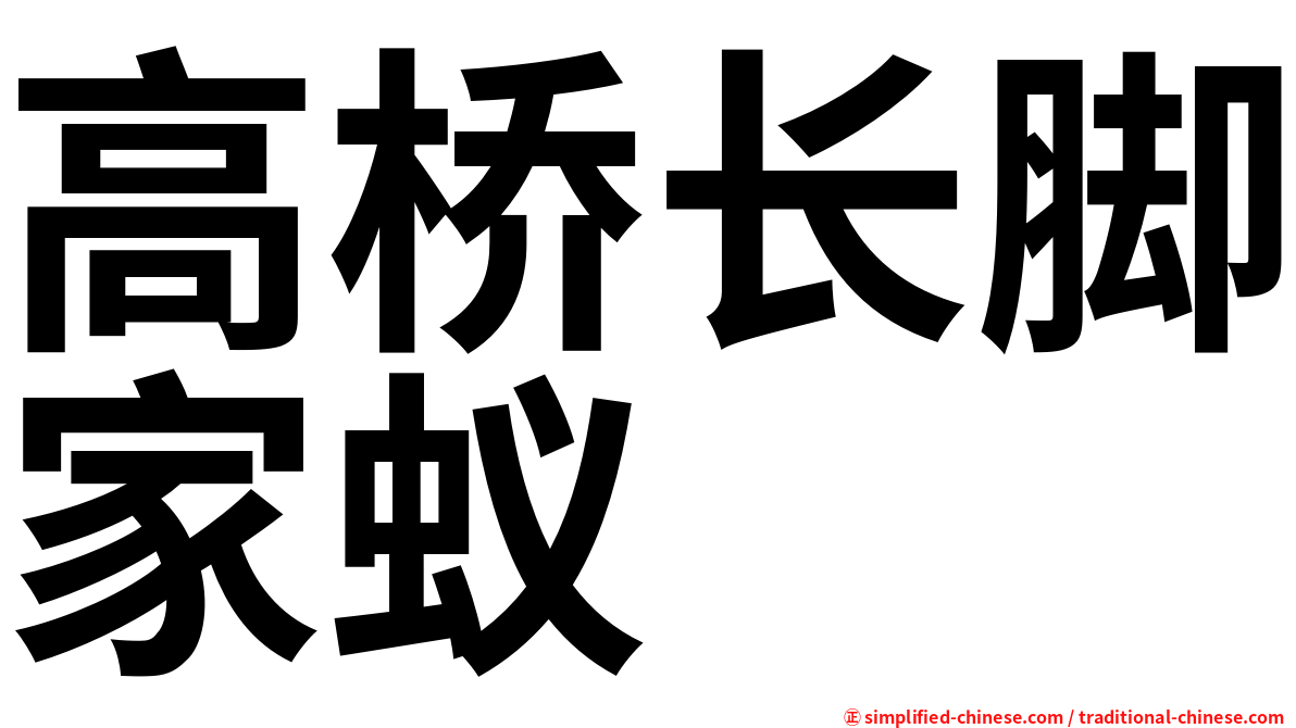 高桥长脚家蚁