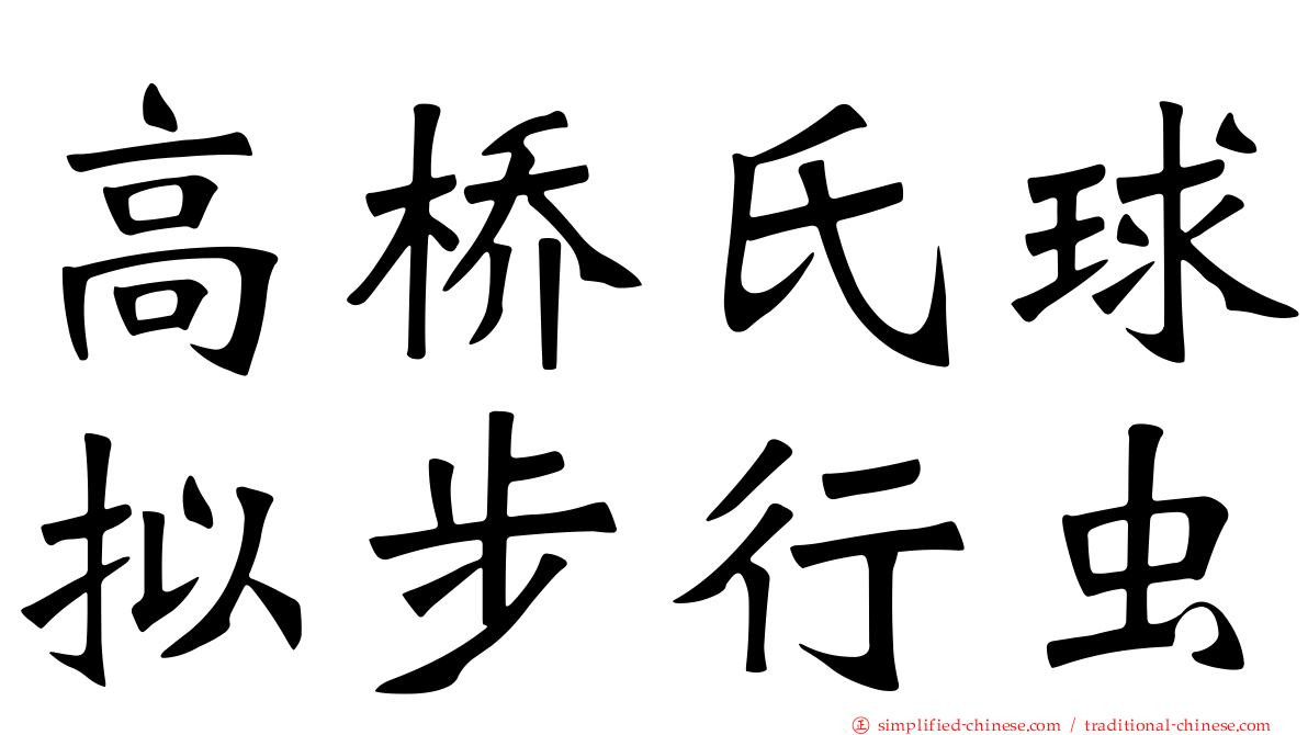 高桥氏球拟步行虫