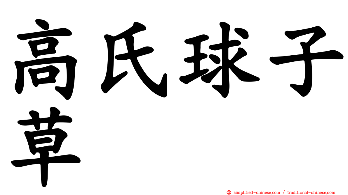 高氏球子草