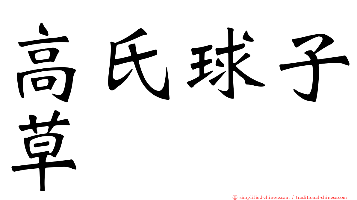 高氏球子草