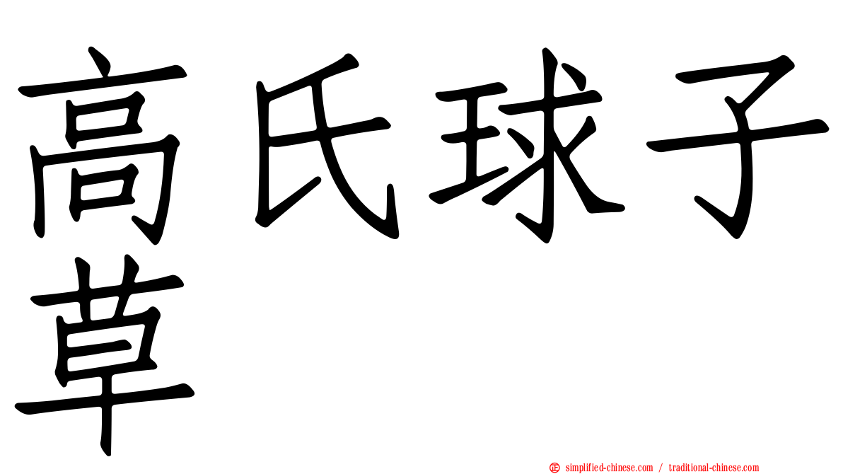 高氏球子草