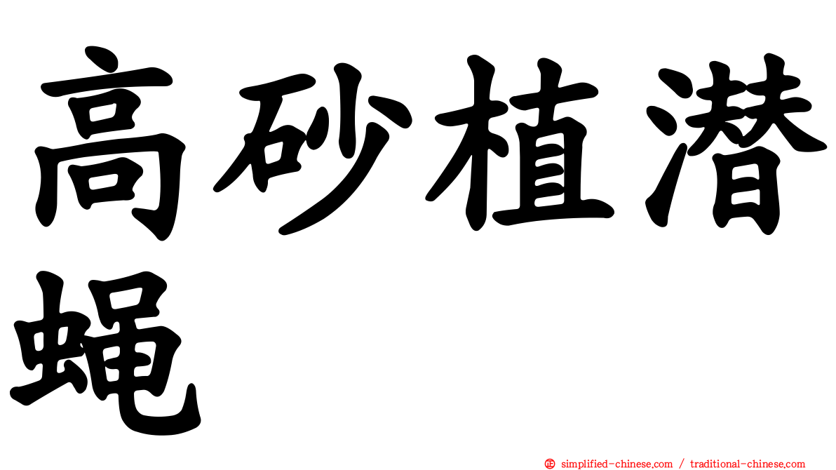 高砂植潜蝇
