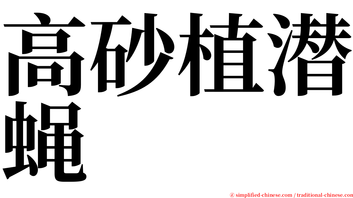 高砂植潜蝇 serif font