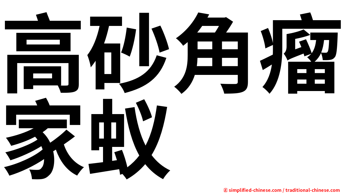 高砂角瘤家蚁