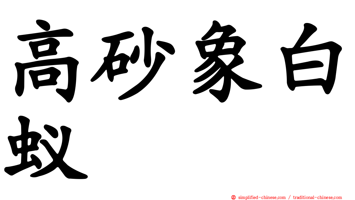 高砂象白蚁