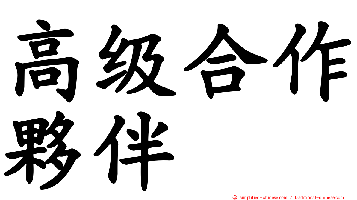 高级合作伙伴