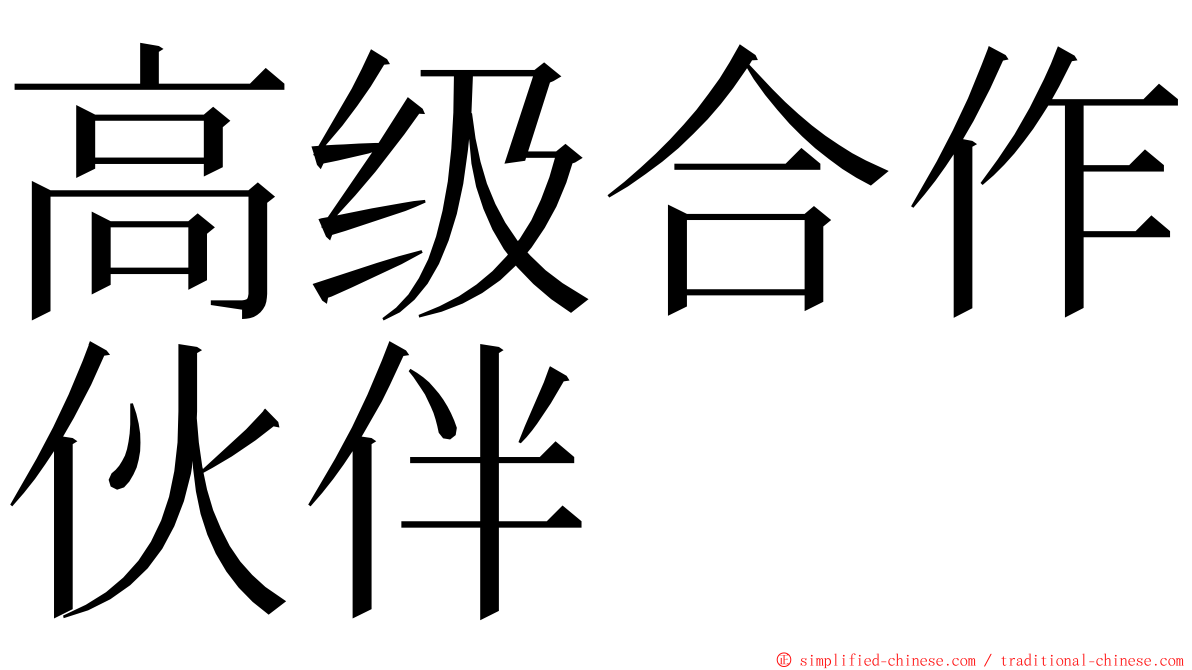 高级合作伙伴 ming font