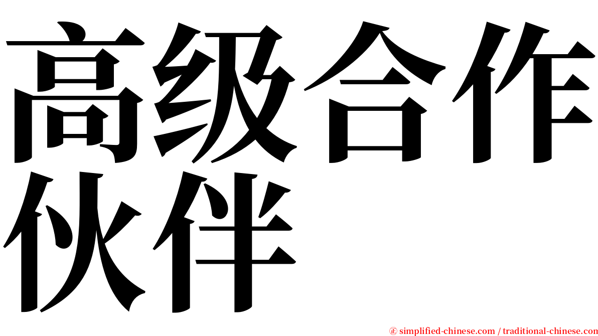 高级合作伙伴 serif font
