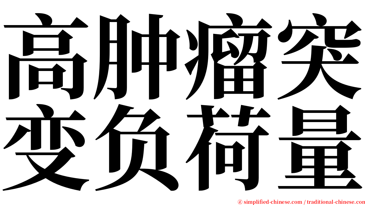 高肿瘤突变负荷量 serif font