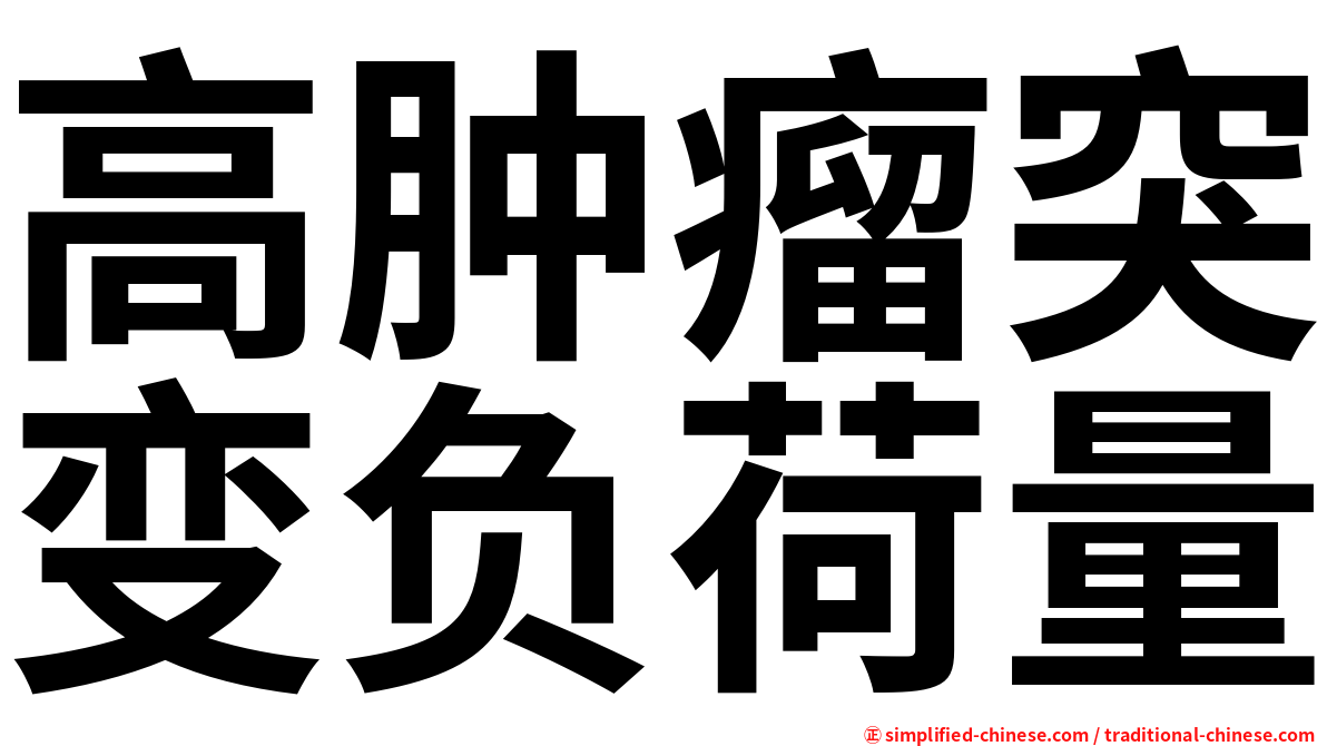 高肿瘤突变负荷量