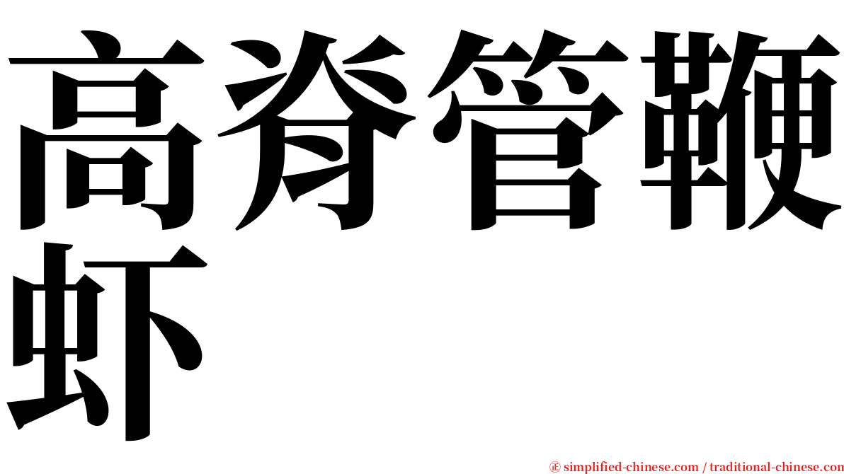 高脊管鞭虾 serif font