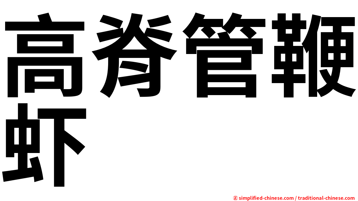 高脊管鞭虾