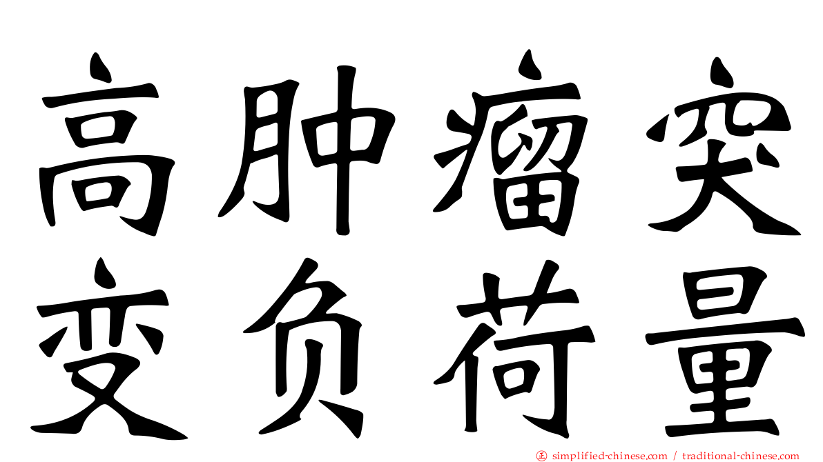 高肿瘤突变负荷量
