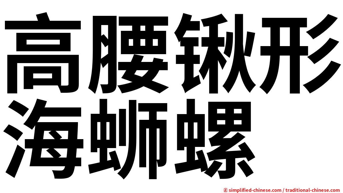 高腰锹形海蛳螺
