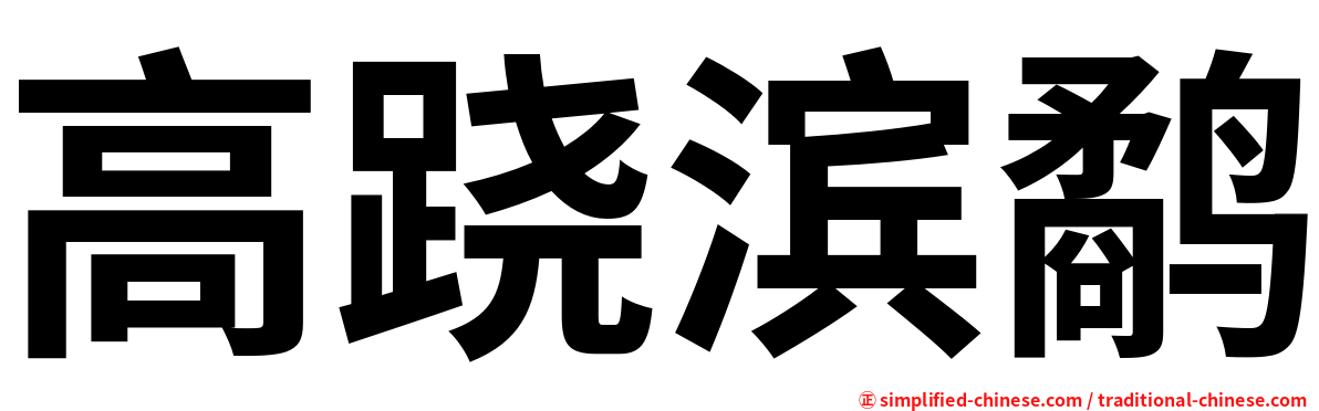 高跷滨鹬