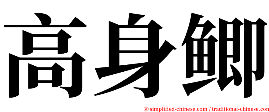 高身鲫 serif font