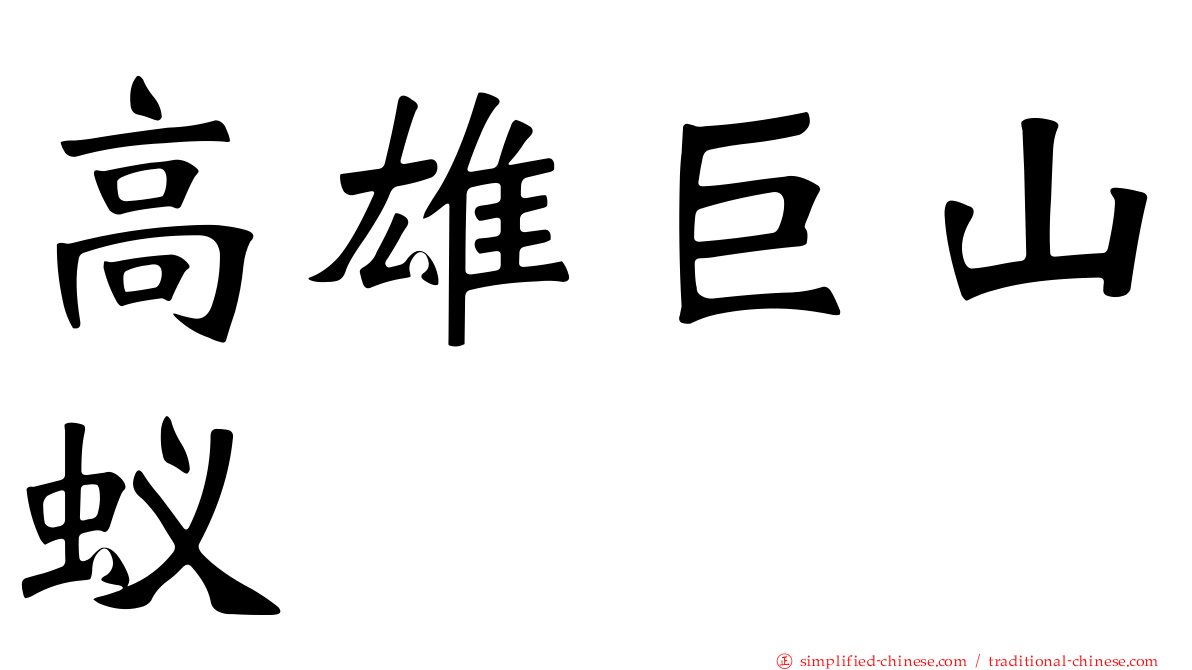 高雄巨山蚁