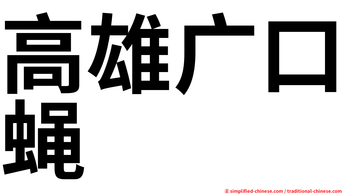 高雄广口蝇