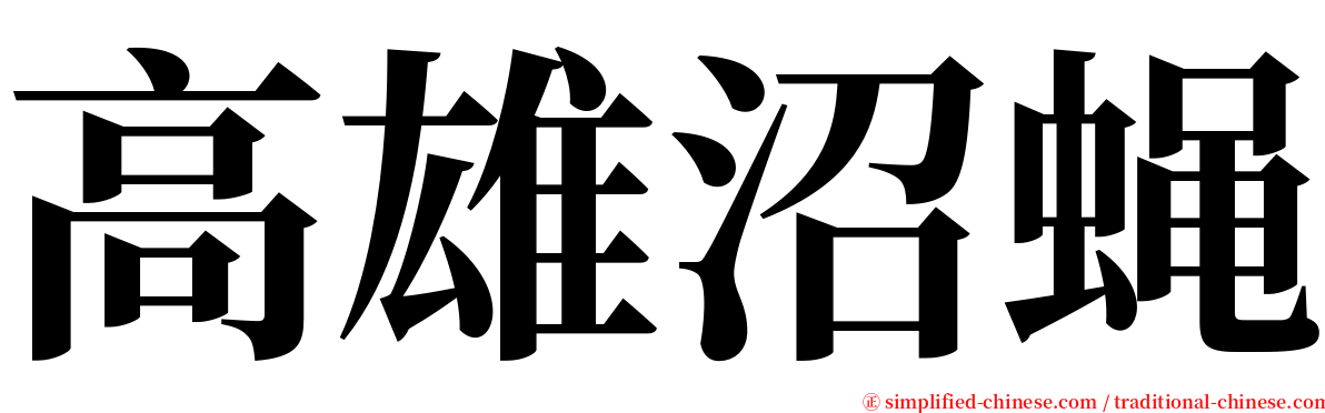 高雄沼蝇 serif font