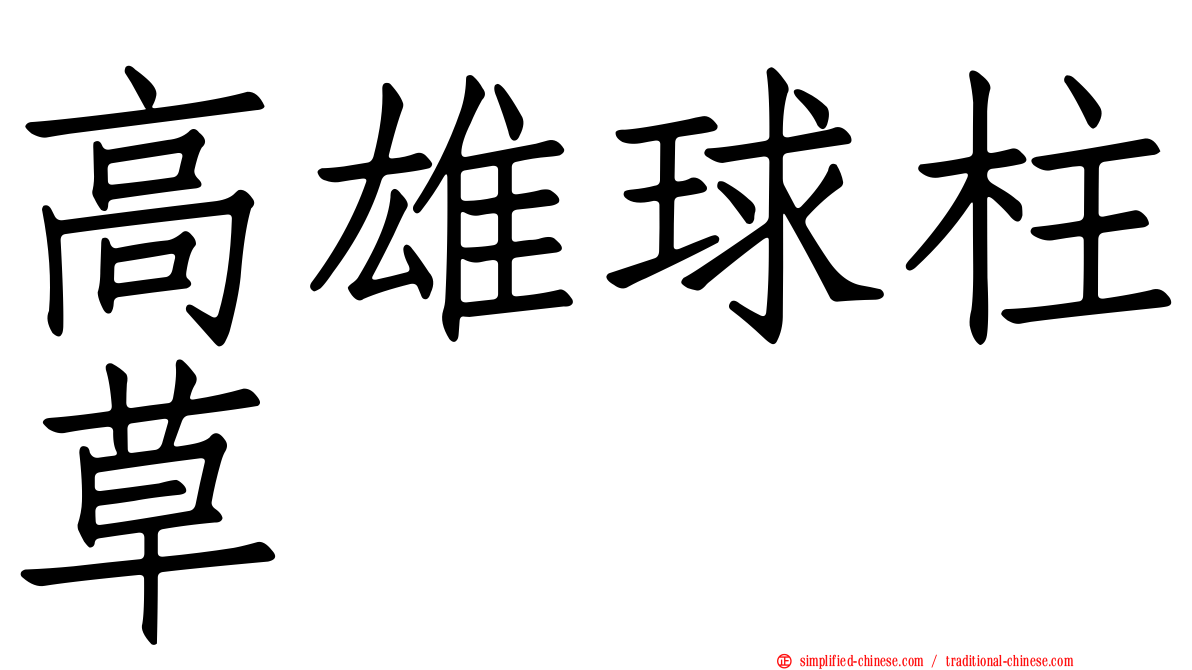 高雄球柱草