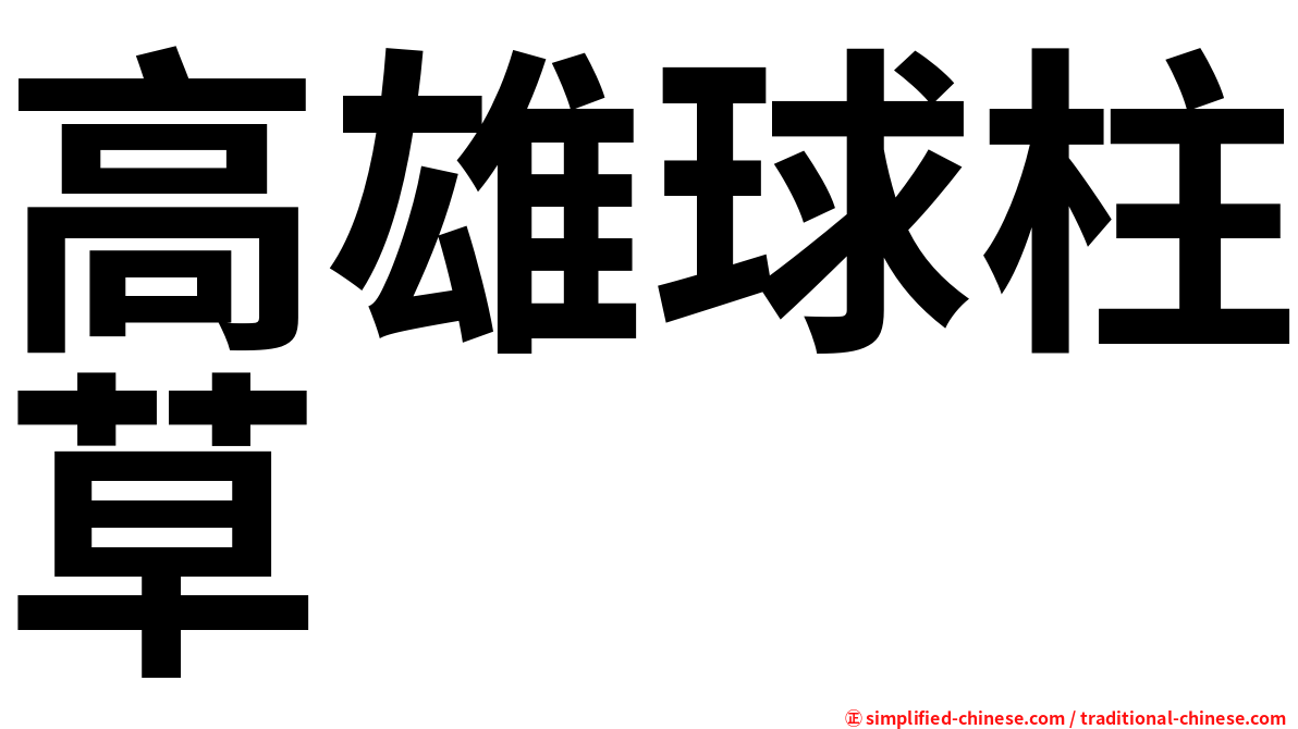 高雄球柱草