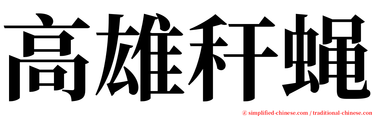 高雄秆蝇 serif font