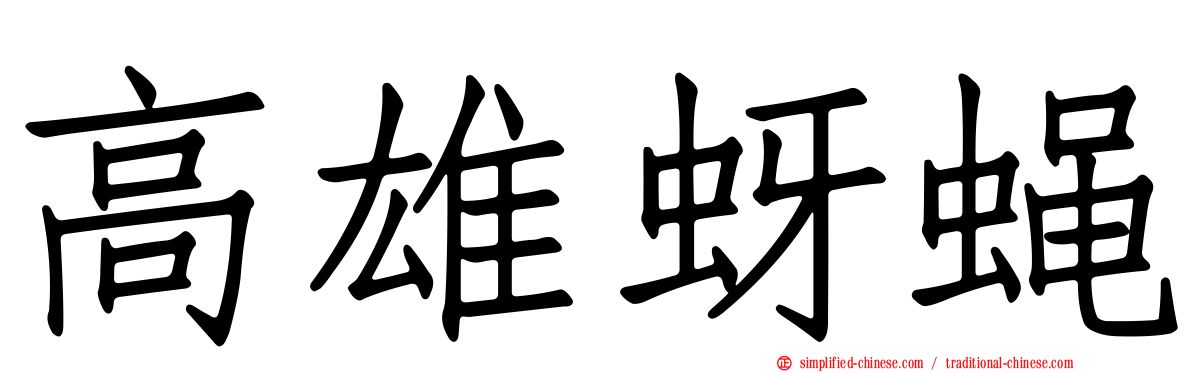 高雄蚜蝇