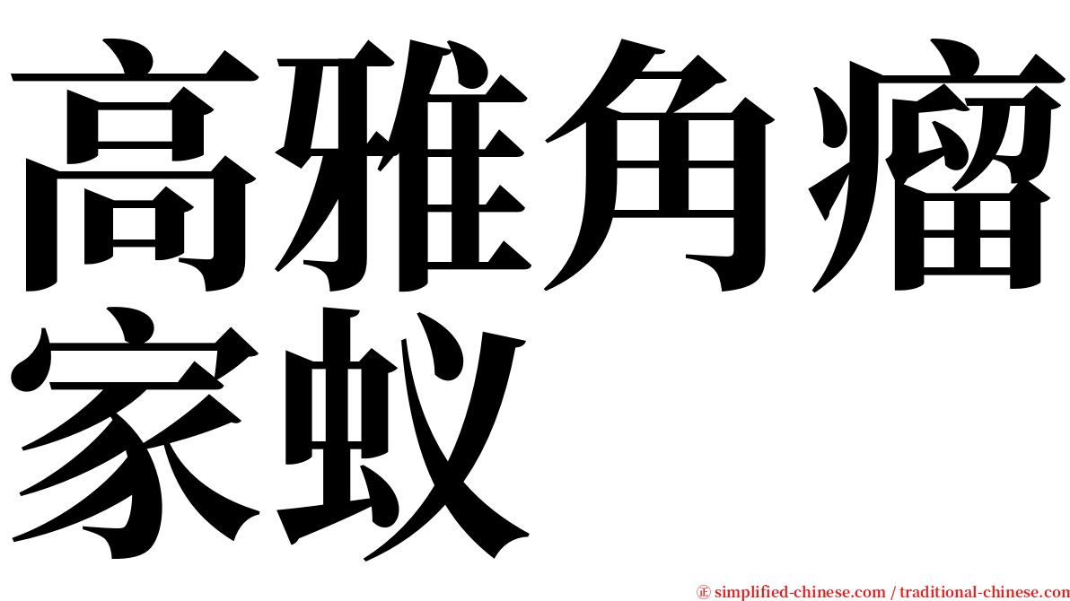 高雅角瘤家蚁 serif font