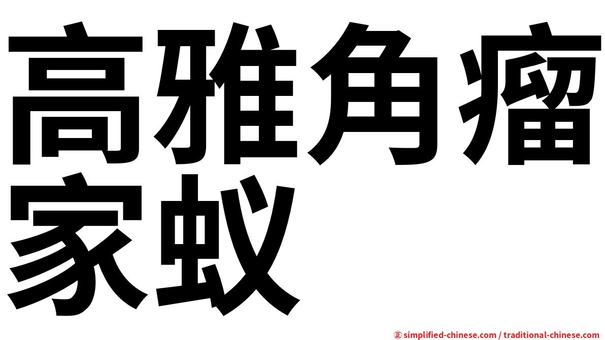 高雅角瘤家蚁