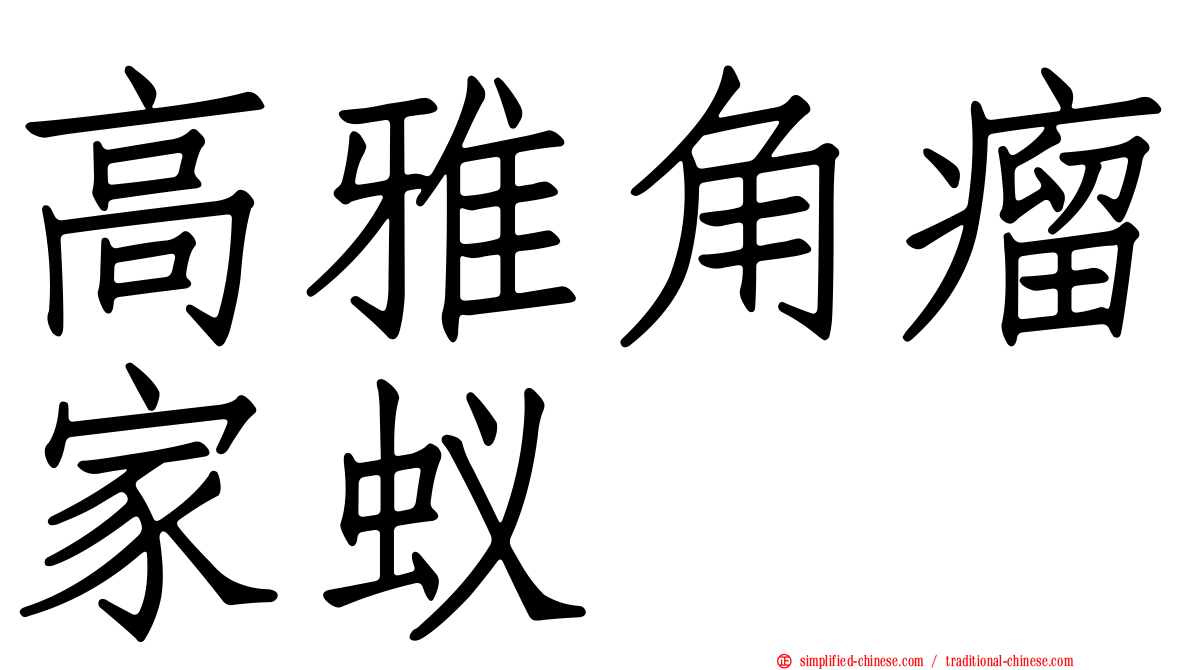 高雅角瘤家蚁