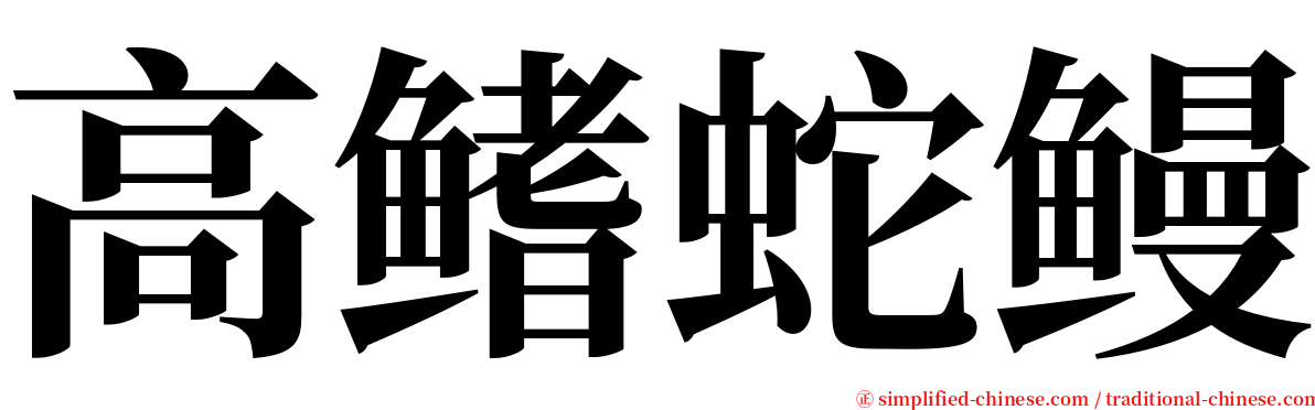 高鳍蛇鳗 serif font