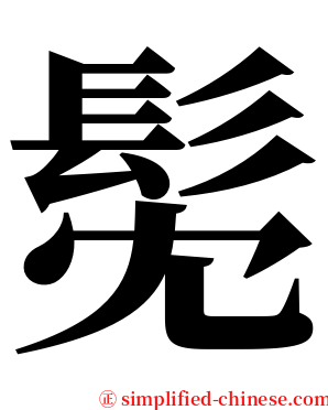 髧 serif font