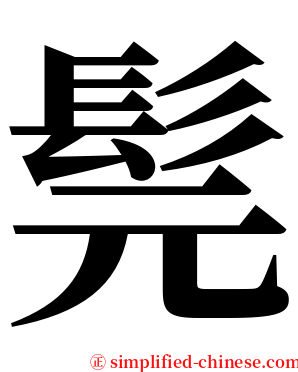 髨 serif font