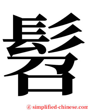髫 serif font