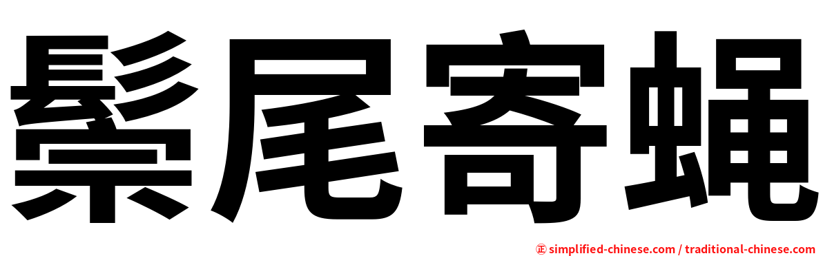 鬃尾寄蝇