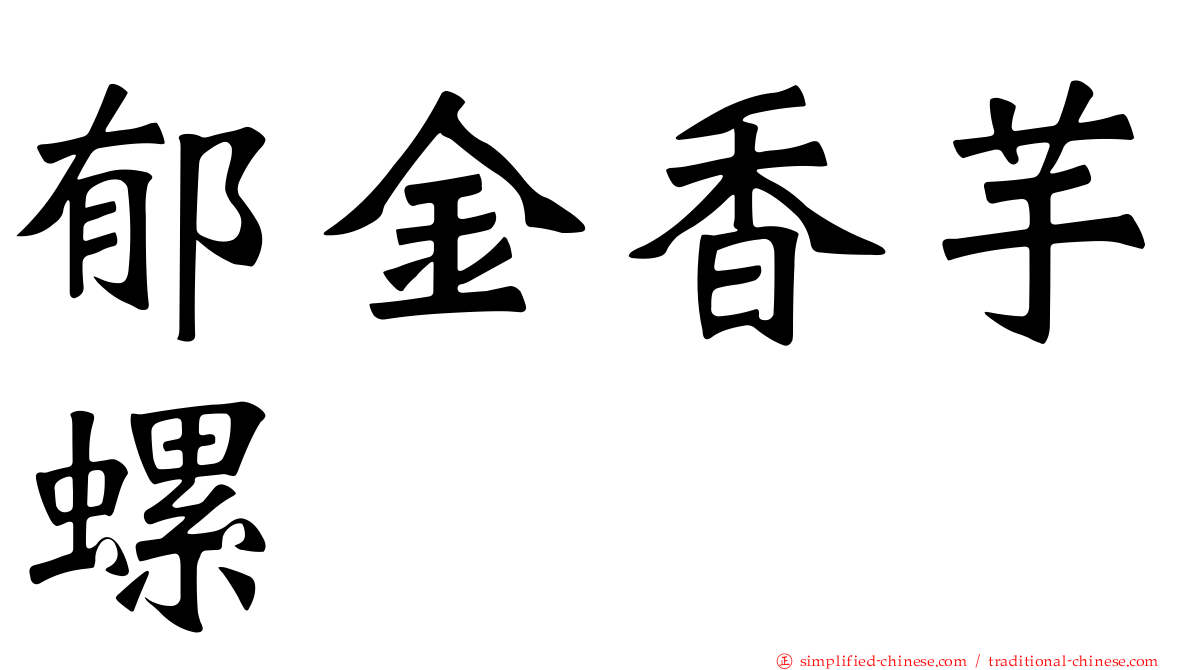 郁金香芋螺
