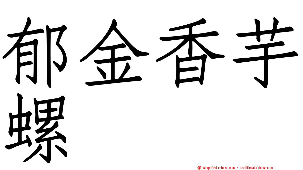 郁金香芋螺